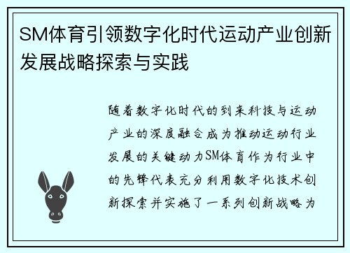 SM体育引领数字化时代运动产业创新发展战略探索与实践